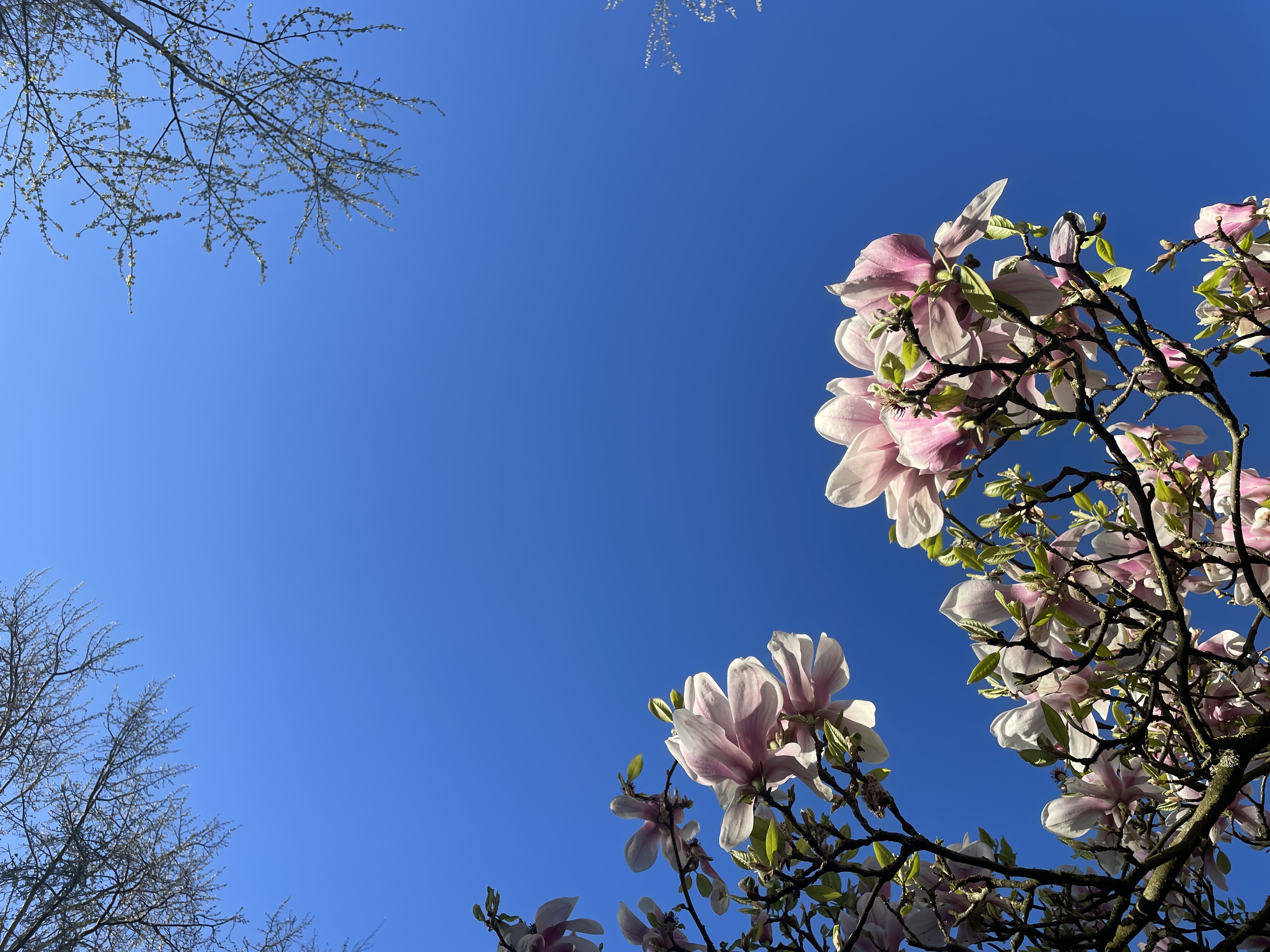 spring is in the air